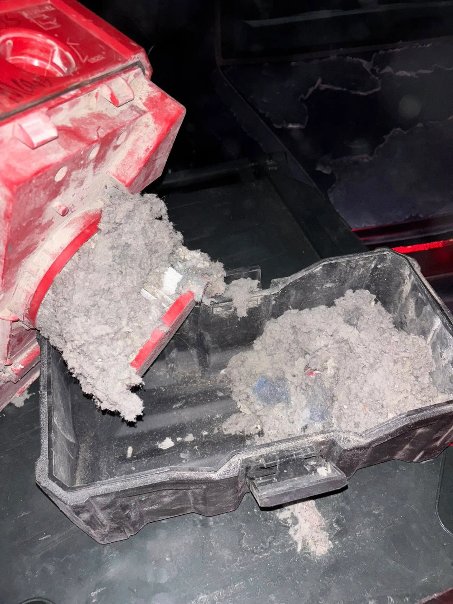 Filter pulled at maintenance